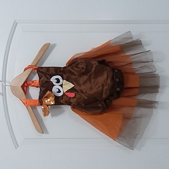 Infant Thanksgiving Turkey Costume - Picture 1 of 6